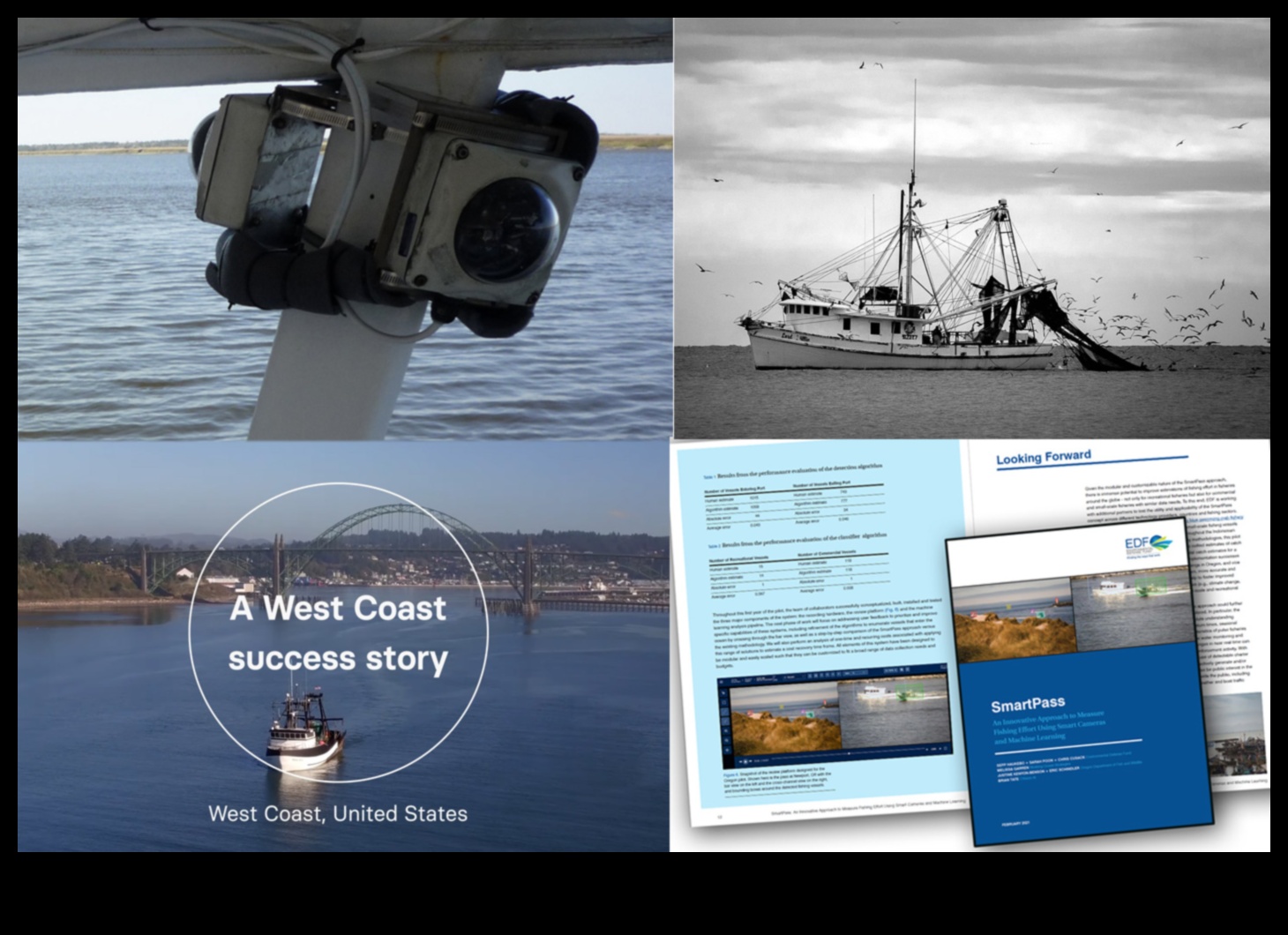 Fish Farming Chronicles: Responsing the Seafood Industry