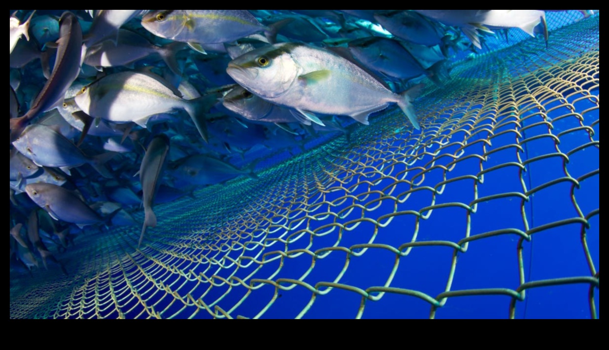 Fish Farming Chronicles: Responsing the Seafood Industry