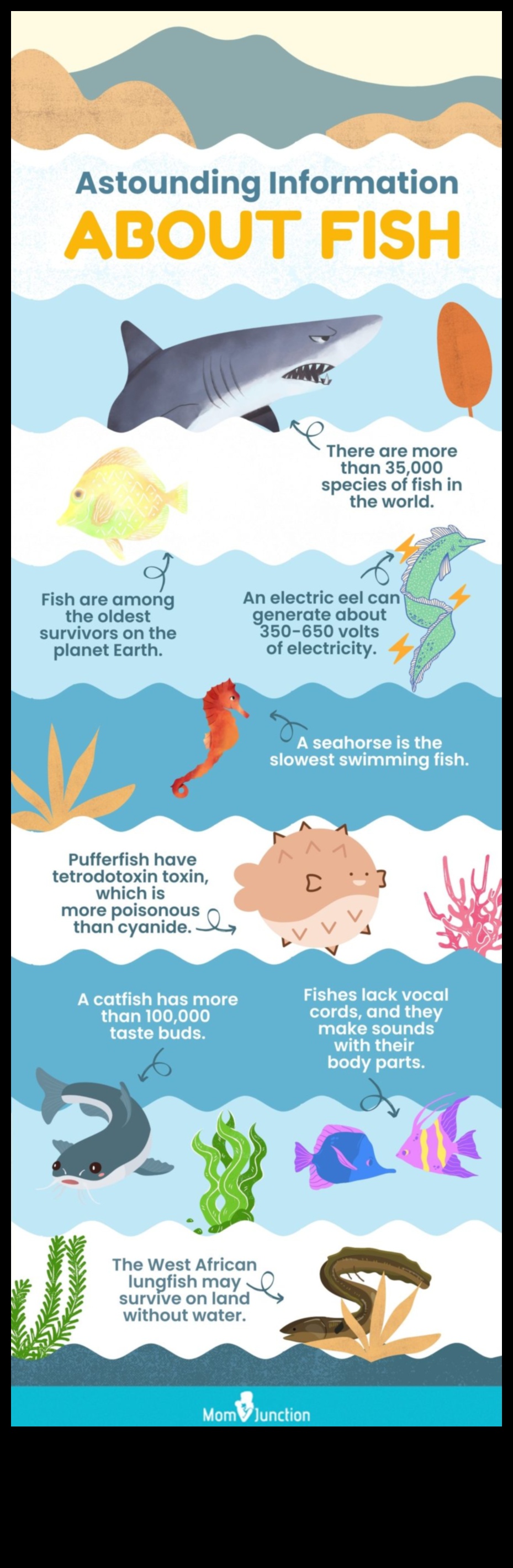 Fiest Facts Fiesta: Αποκαλύπτοντας ενδιαφέρουσες πληροφορίες για τα ψάρια