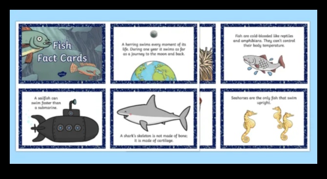 Fiest Facts Fiesta: Αποκαλύπτοντας ενδιαφέρουσες πληροφορίες για τα ψάρια