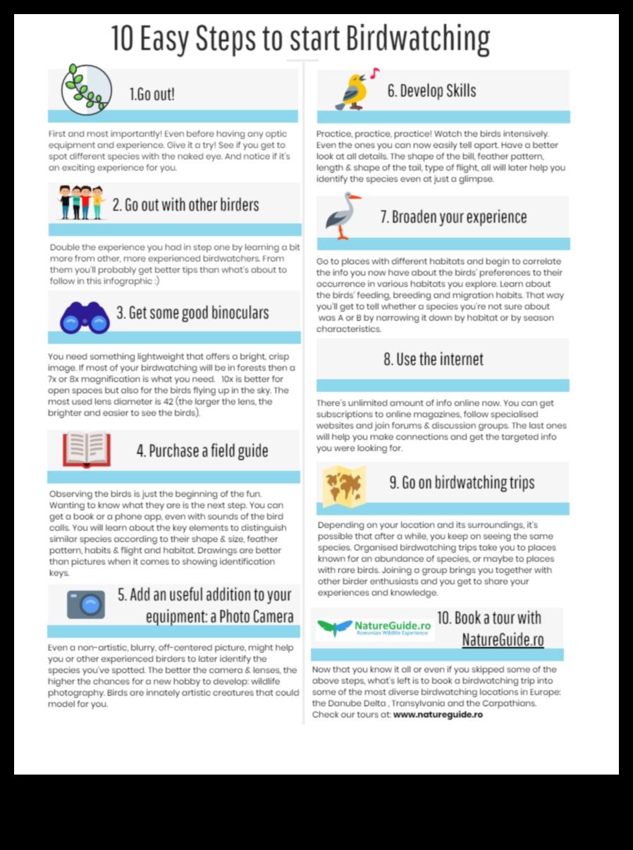 Birding Hacks: Συμβουλές και κόλπα για μια βελτιωμένη εμπειρία παρατήρησης πουλιών
