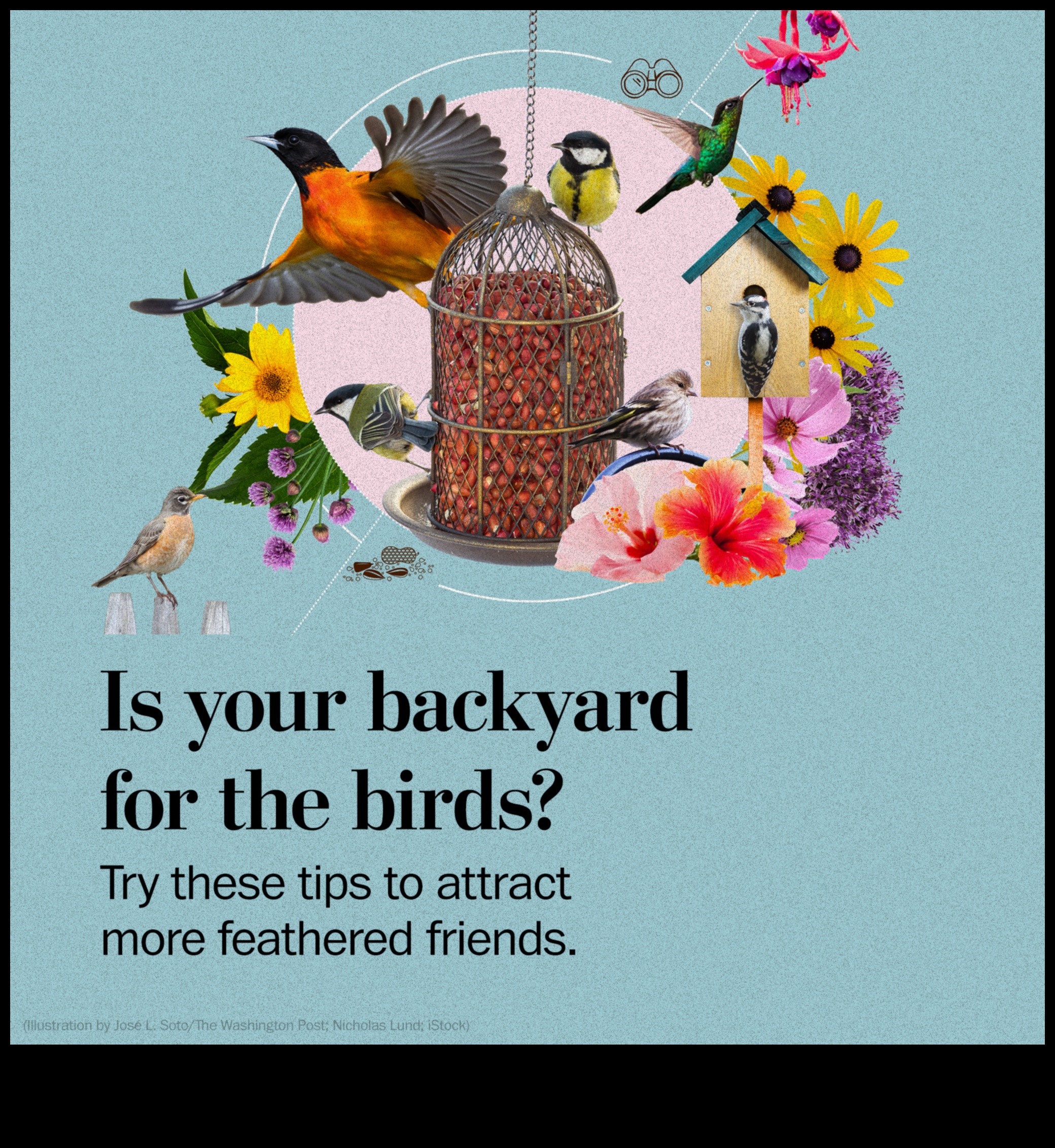 Birding Hacks: Συμβουλές και κόλπα για μια βελτιωμένη εμπειρία παρατήρησης πουλιών