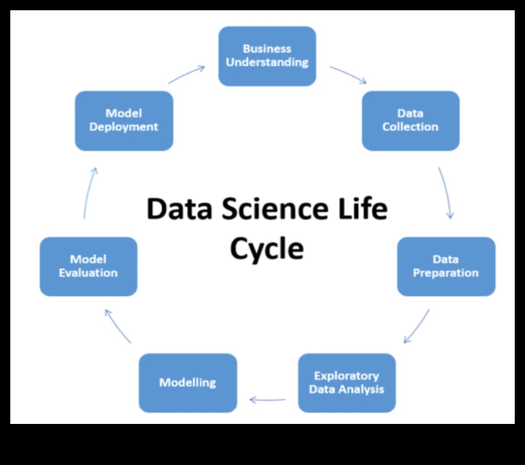 From Concept to Code: A Comprehensive Guide to Professional Data Science