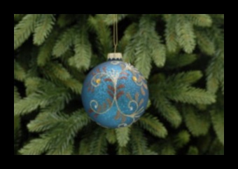 Birdy Baubles: Shimmering Accessories for Pet Birds