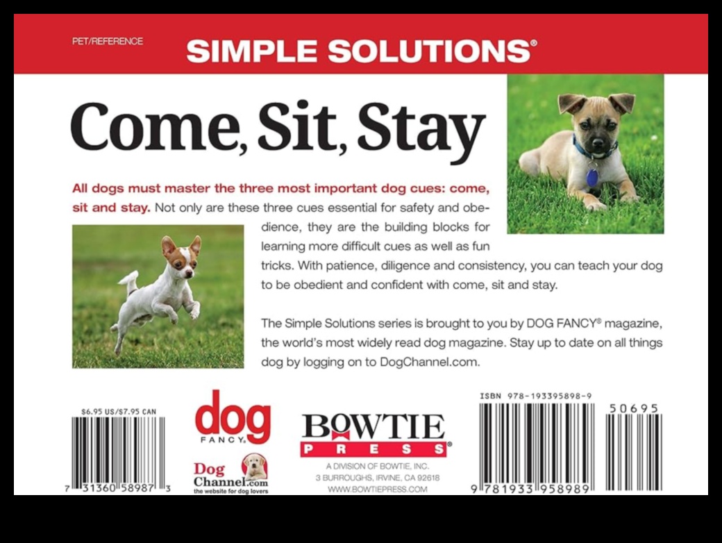 Κατακτήστε τα βασικά: Βασικές συμβουλές για τη φροντίδα των κατοικίδιων για αρχάριους