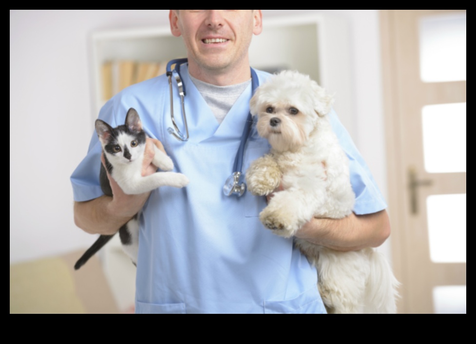 Κατακτήστε τα βασικά: Βασικές συμβουλές για τη φροντίδα των κατοικίδιων για αρχάριους