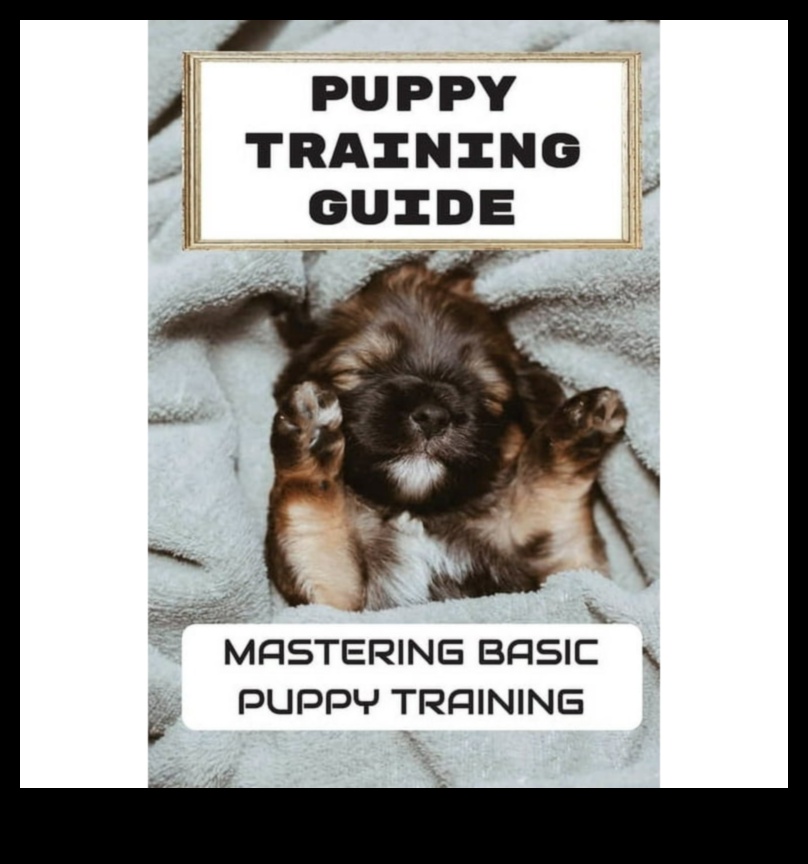 Κατακτήστε τα βασικά: Βασικές συμβουλές για τη φροντίδα των κατοικίδιων για αρχάριους