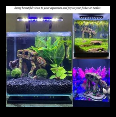 Aquarium Accents: Βελτιώστε τη δεξαμενή ψαριών σας με διακοσμητικά στοιχεία