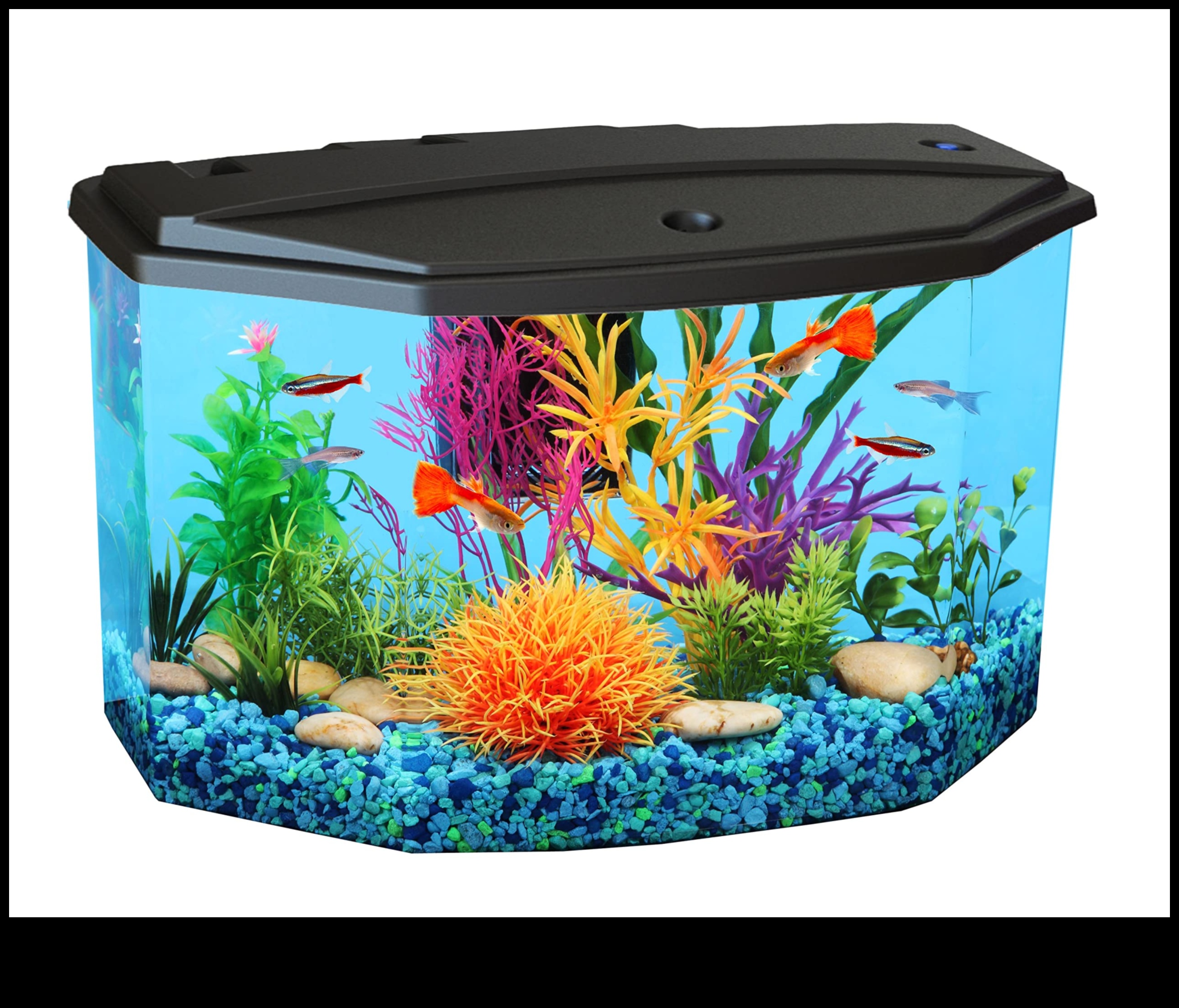 Aquarium Accents: Βελτιώστε τη δεξαμενή ψαριών σας με διακοσμητικά στοιχεία