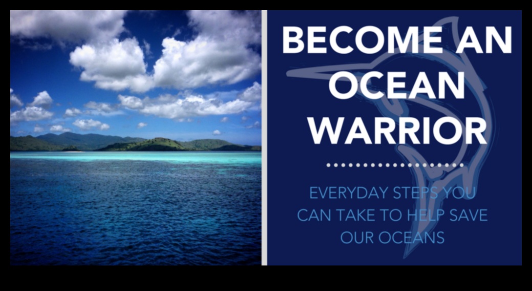 Ocean Conservation Warriors: Individuals Make a Difference for Fish