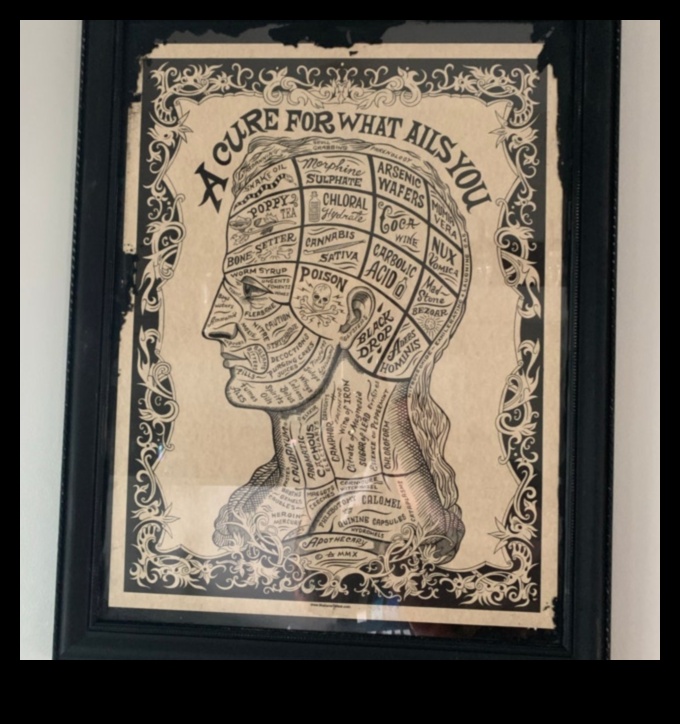 Η άσκηση ως φάρμακο: Τα θεραπευτικά οφέλη για διάφορες καταστάσεις υγείας