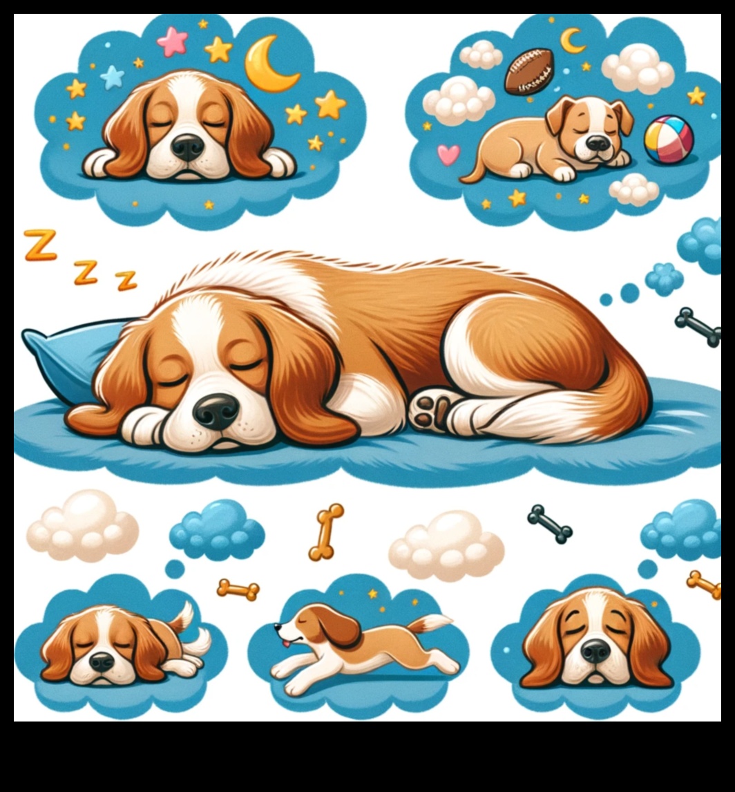 Doggy Dreams Κατανοώντας τα μοτίβα ύπνου του σκύλου 2 Doggy Dreams: Understanding Canine Sleep Patterns