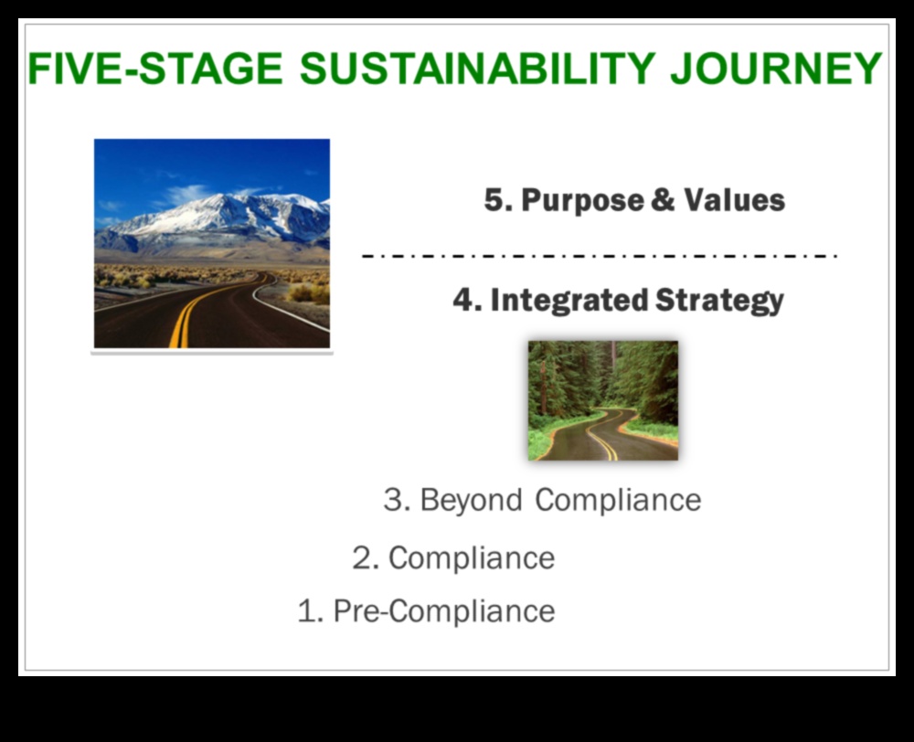 Από την πράσινη ιδέα στο κλικ: Το ταξίδι ενός επαγγελματία στη βιώσιμη εξερεύνηση