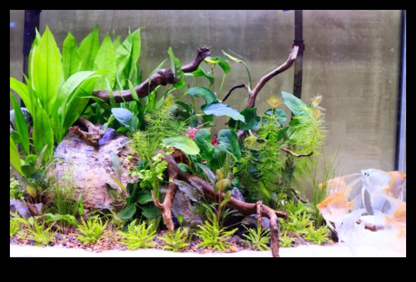 Fish Tank Zen Συνέχεια: Ενσωμάτωση Φυσικών Στοιχείων για Ηρεμία