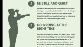 Birding Hacks: Συμβουλές και κόλπα για μια βελτιωμένη εμπειρία παρατήρησης πουλιών