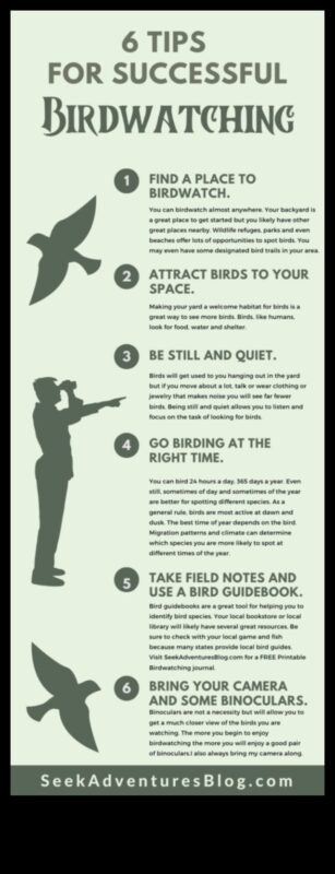 Birding Hacks: Συμβουλές και κόλπα για μια βελτιωμένη εμπειρία παρατήρησης πουλιών