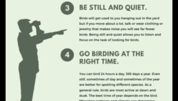 Birding Hacks: Συμβουλές και κόλπα για μια βελτιωμένη εμπειρία παρατήρησης πουλιών