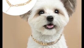 Canine Charm: Γοητευτικά αξεσουάρ για το κολάρο του σκύλου σας