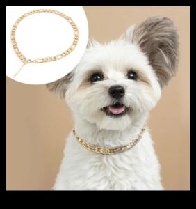 Canine Charm: Γοητευτικά αξεσουάρ για το κολάρο του σκύλου σας