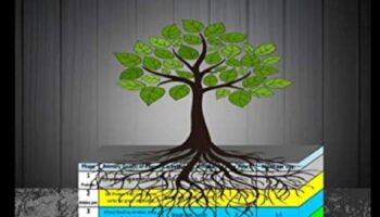 Core Command: Δημιουργία ενός ισχυρού κέντρου για αποτελεσματική διαχείριση βάρους