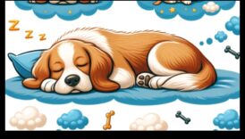 Doggy Dreams: Understanding Canine Sleep Patterns