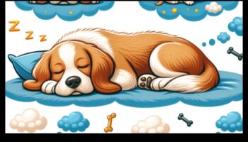 Doggy Dreams: Understanding Canine Sleep Patterns