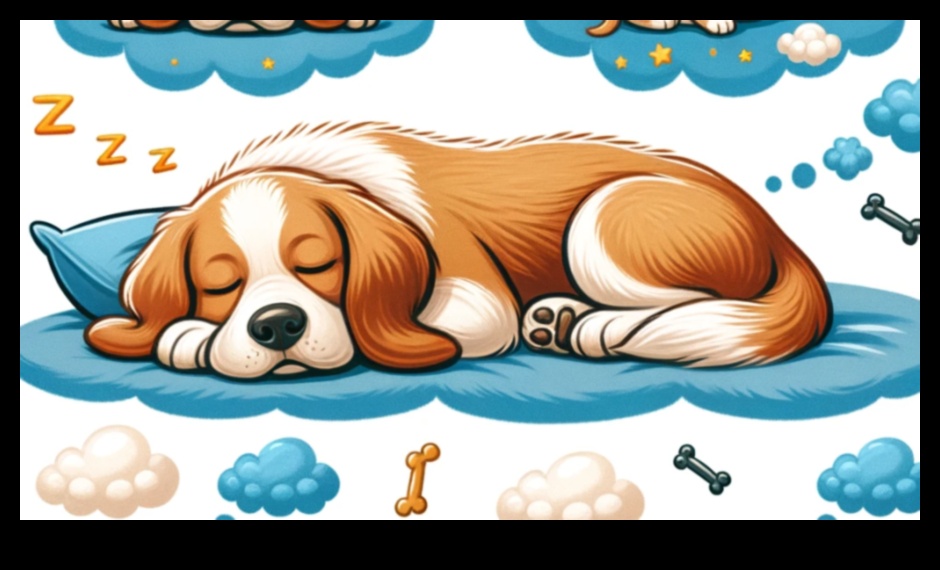 Doggy Dreams Κατανοώντας τα μοτίβα ύπνου του σκύλου 1 Doggy Dreams: Understanding Canine Sleep Patterns