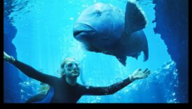 Συνεχίζεται το Fishy Film Fest: Documentaries Spotlighting Marine Life