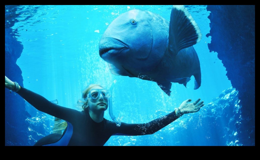 Συνεχίζεται το Fishy Film Fest: Documentaries Spotlighting Marine Life