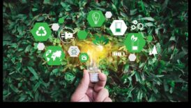 Green Mavericks: Trailblazing in the World of Creative Arts and Eco-Friendly Solutions