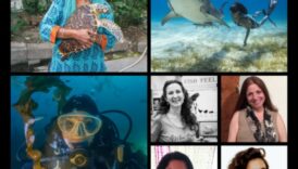 Ocean Conservation Warriors: Individuals Make a Difference for Fish