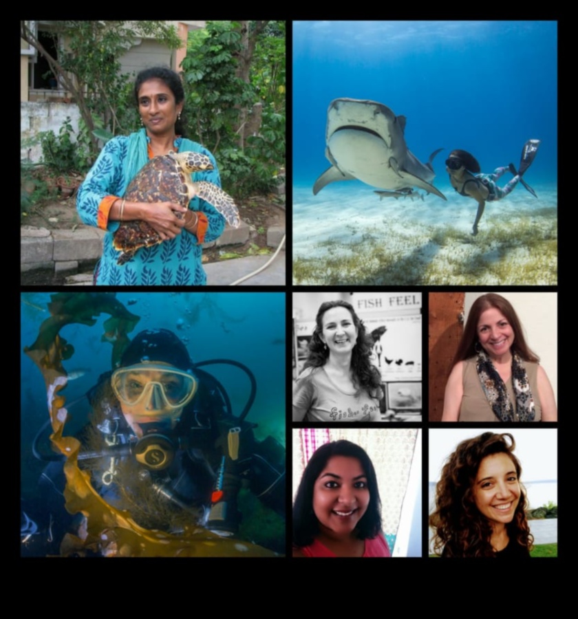 Ocean Conservation Warriors: Individuals Make a Difference for Fish