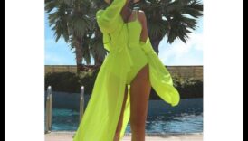 Reptile Regalia: Dress Up Your Scaley Companion