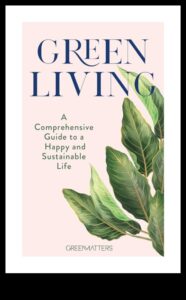 Από το όραμα στην πραγματικότητα: Ένας ολοκληρωμένος οδηγός για την πράσινη τεχνολογία