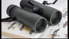 Βασικά διόφθαλμα: Επιλογή των σωστών οπτικών για την παρατήρηση πουλιών