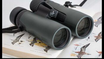 Βασικά διόφθαλμα: Επιλογή των σωστών οπτικών για την παρατήρηση πουλιών