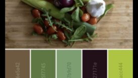 Μαγειρικός καμβάς: Ζωγραφίστε μια παλέτα από υγιεινές χορτοφαγικές γεύσεις