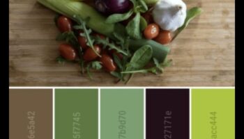 Μαγειρικός καμβάς: Ζωγραφίστε μια παλέτα από υγιεινές χορτοφαγικές γεύσεις