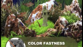 Aquarium Accents: Βελτιώστε τη δεξαμενή ψαριών σας με διακοσμητικά στοιχεία