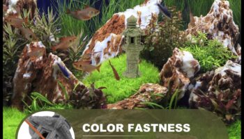 Aquarium Accents: Βελτιώστε τη δεξαμενή ψαριών σας με διακοσμητικά στοιχεία