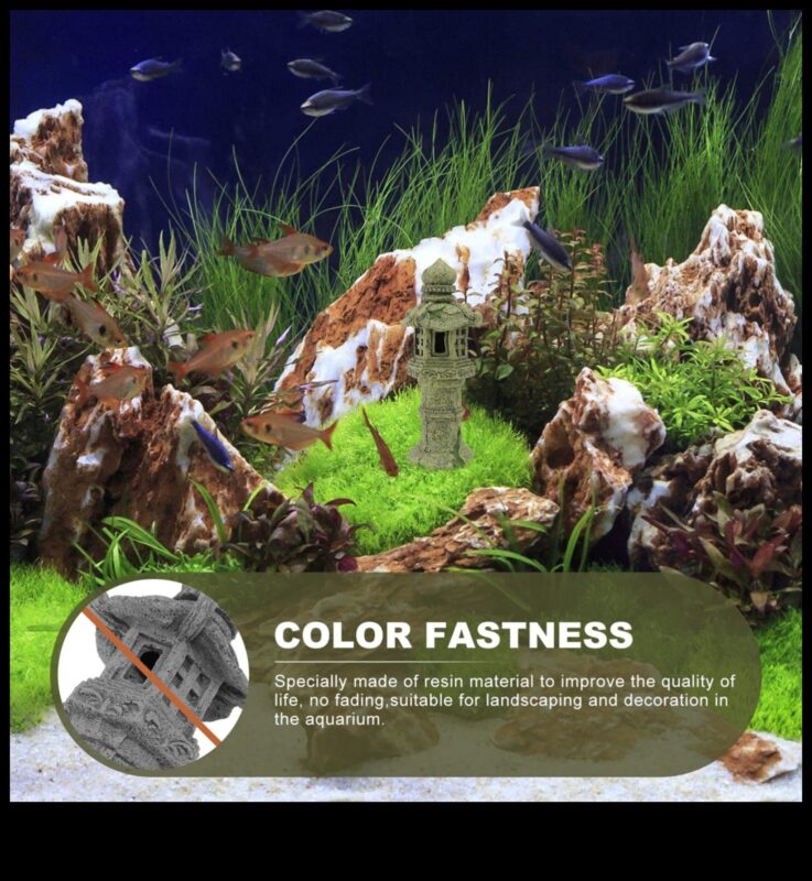 Aquarium Accents: Βελτιώστε τη δεξαμενή ψαριών σας με διακοσμητικά στοιχεία