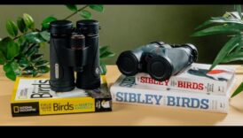Κριτική Birding Binoculars: Choosing the Perfect Pair for You