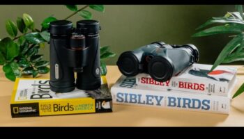 Κριτική Birding Binoculars: Choosing the Perfect Pair for You