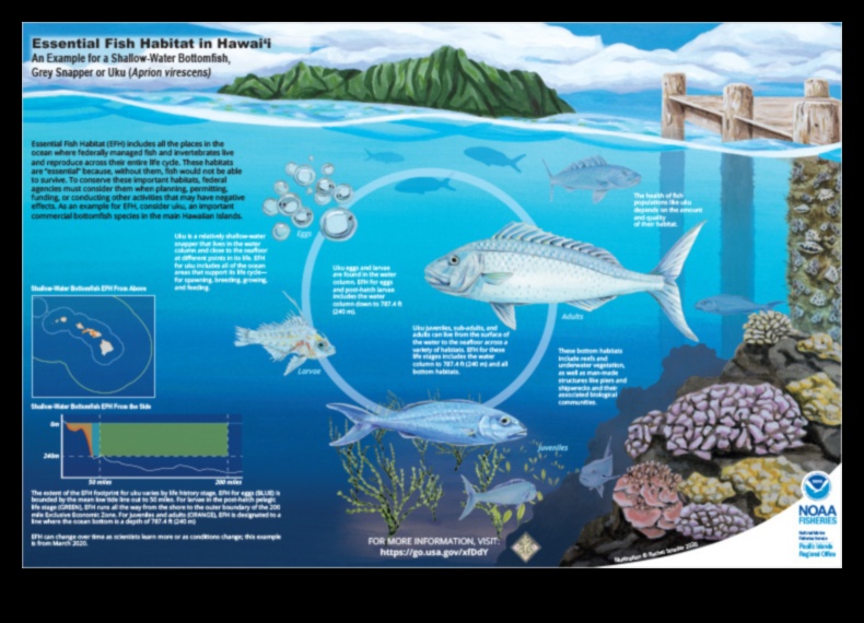 Διατήρηση ενδιαιτημάτων ψαριών: Προσπάθειες για την προστασία του φυσικού περιβάλλοντος