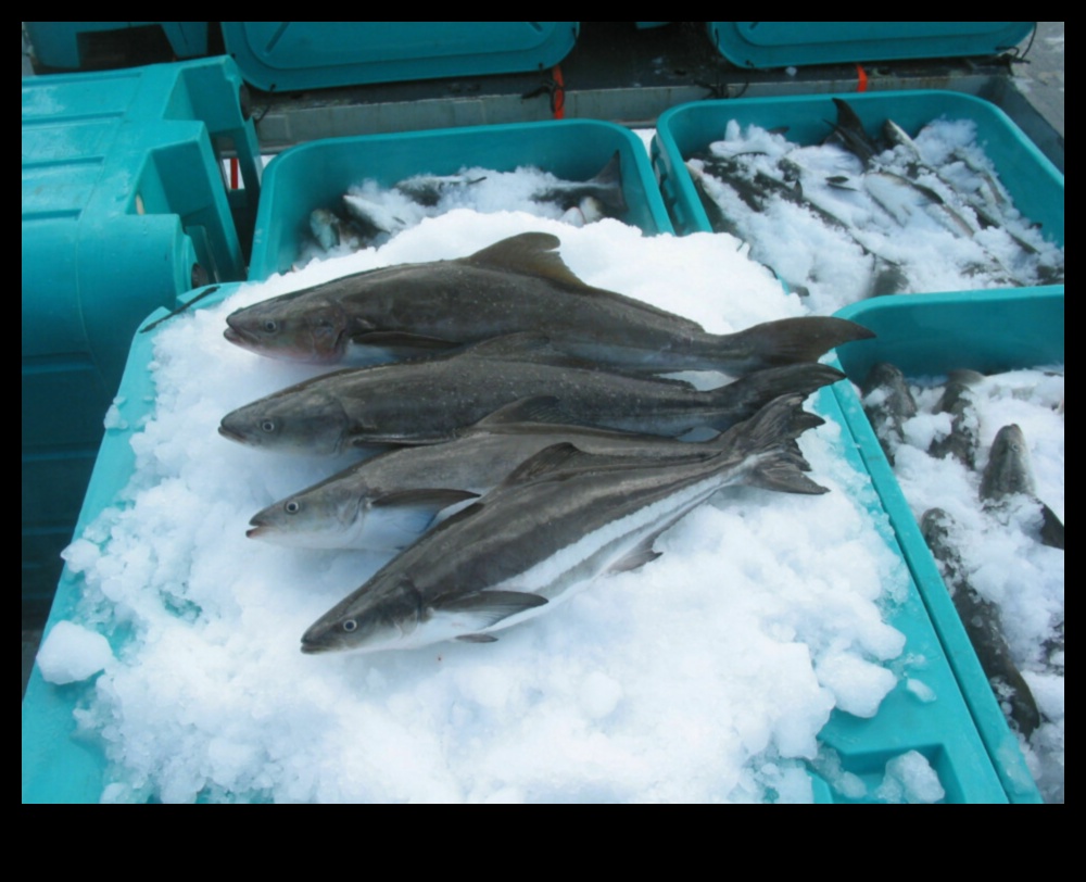 Fish Farming Chronicles: Responsing the Seafood Industry